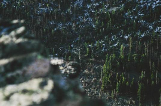 Saniye Bencik Kangal