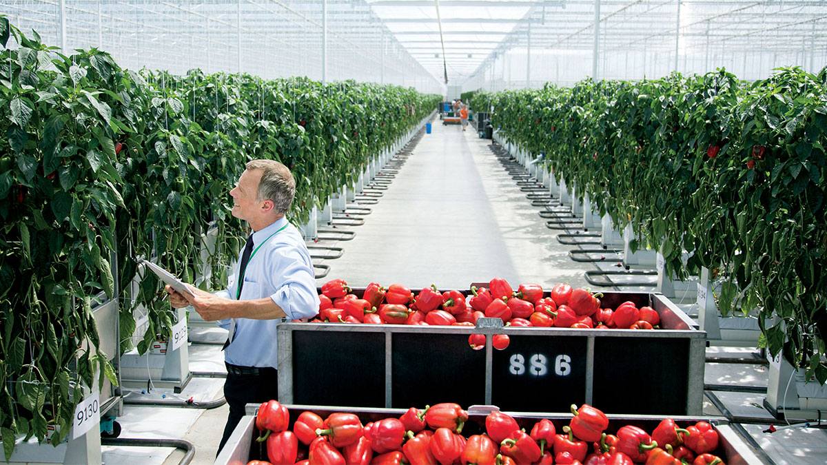 Gıda Güvenliği ve Tarımda İnovasyon Kongresi